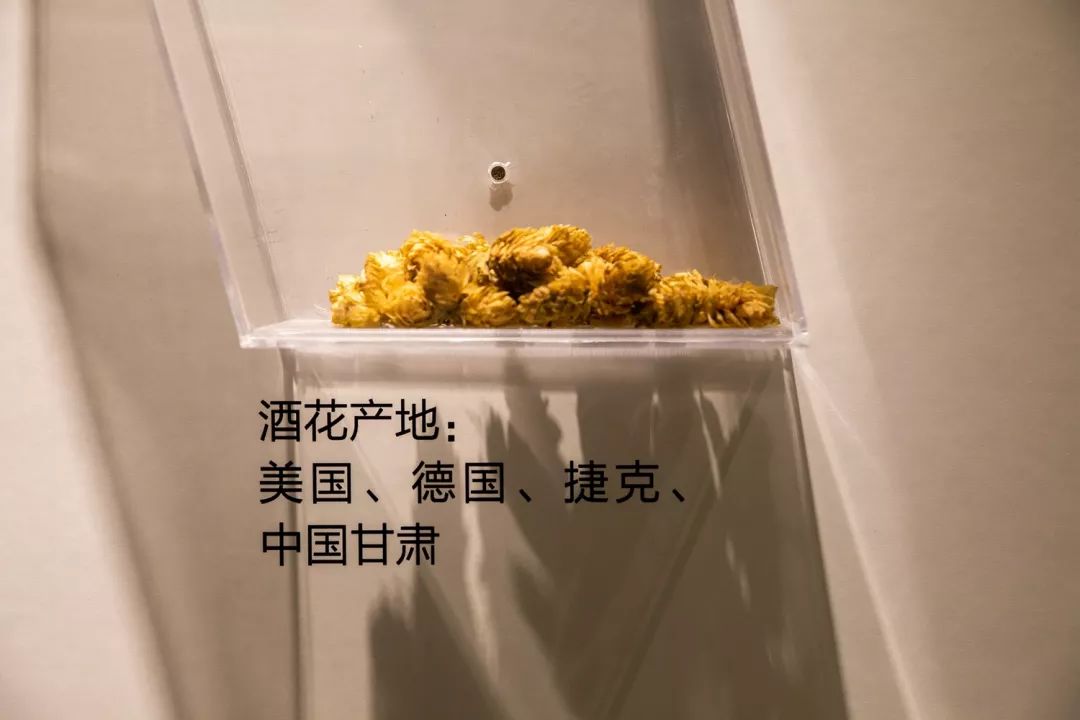 報告:我想去百威中國那個啤酒展覽館打卡品美酒佳肴|國潮范這么閃 - 第50張 - 會展活動策劃CCASY.COM 報告:我想去百威中國那個啤酒展覽館打卡品美酒佳肴|國潮范這么閃 - 第50張