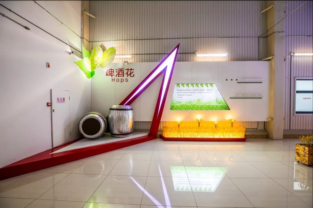 報告:我想去百威中國那個啤酒展覽館打卡品美酒佳肴|國潮范這么閃 - 第54張 - 會展活動策劃CCASY.COM 報告:我想去百威中國那個啤酒展覽館打卡品美酒佳肴|國潮范這么閃 - 第54張